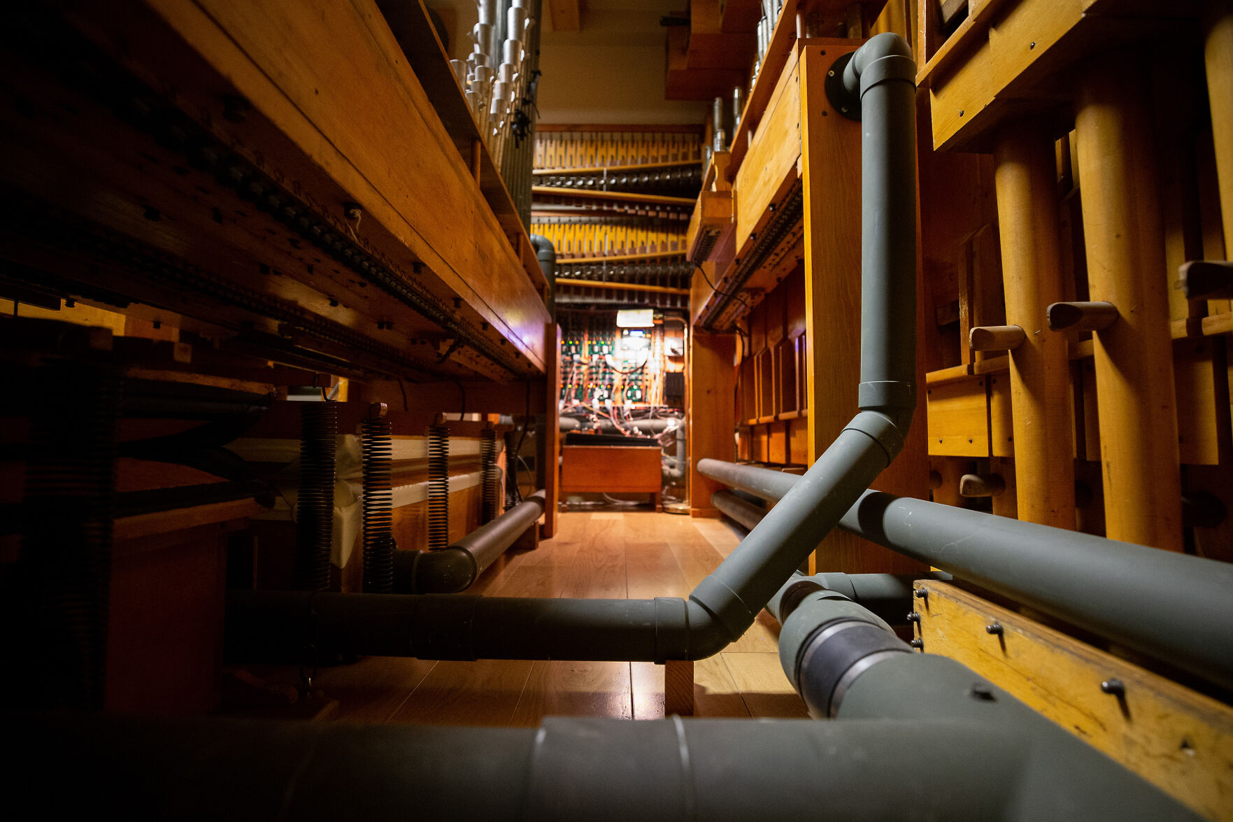220312-newslocal-organman 04.jpg
